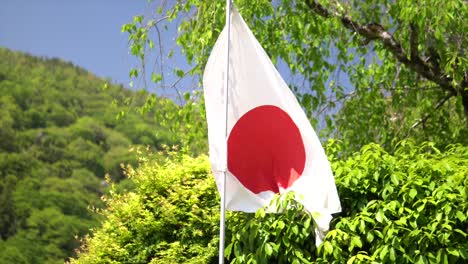 Handheld-shot-of-japanese-flag-in-front-of-trees,-handheld-shot