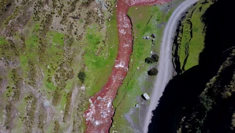 Aerial,-top-down,-drone-shot-over-the-Pukamayu-Red-River,-on-a-sunny-day,-in-Cusco,-Peru,-South-America