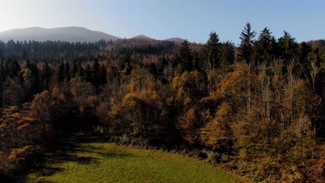 Aerial-view-of-the-national-park-Rakov-Skocjan-in-Cerknica,-Slovenia,-autumn-colors