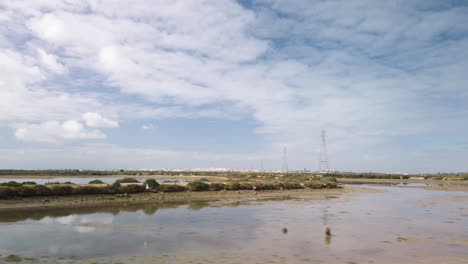 Slowmo-Driving-Past-Birds-in-Marsh-Wetlands-of-Cadiz,-Spain