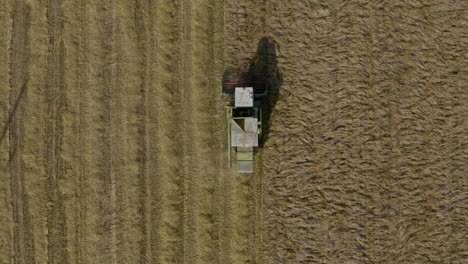 Birds-eye-view-of-combine-reaping-wheat-crops-on-a-beautiful-summer-day