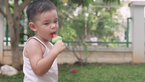 Slow-motion-video-of-a-very-happy-and-excited-cute-asian-boy-eating-a-popsicle-ice-cream-in-the-backyard-on-a-summer-afternoon