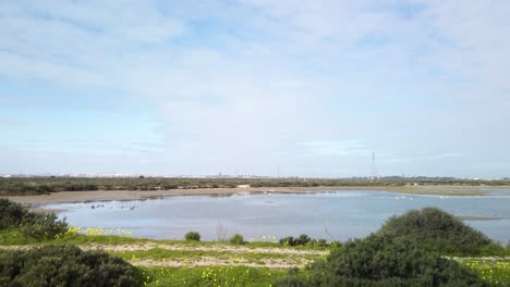 High-to-Low-Tilt-Down-of-Marsh-Wetlands-in-Cadiz,-Spain,-on-cloudy-day