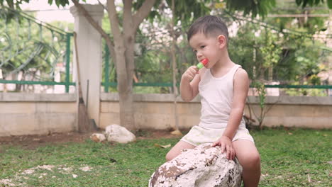Slow-motion-video-of-a-handsome-Asian-kid-wearing-summer-clothes-sitting-on-a-rock-in-the-backyard-while-eating-a-watermelon-popsicle-ice-cream
