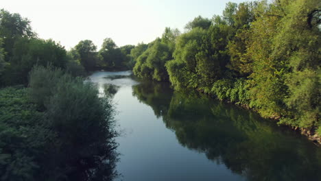 Luftaufnahmen-Von-Drohnen,-Die-Einem-Fluss-Folgen,-Der-Von-Wunderschönen-Grünen-Bäumen-Umgeben-Ist,-Slowenien