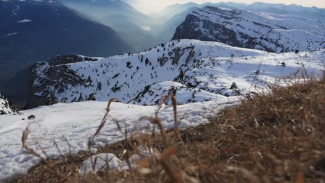 Tilt-up-shot,-dry-grass-on-the-snowy-mountain-path-in-Trentino,-Italy,-scenic-View-of-the-mountain-range