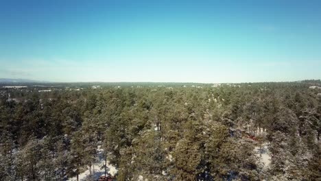 Aerial-lowering-of-a-horizon-view-of-the-Black-Forest-in-Colorado-to-the-snowy-forest-floor