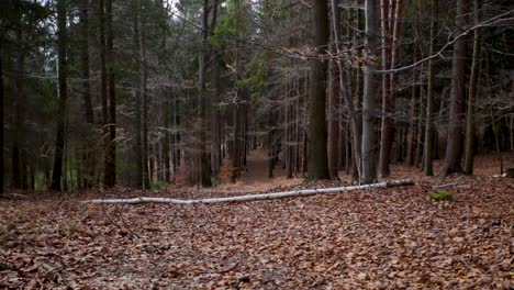 Umgestürzter-Baum-Mitten-Auf-Einem-Mit-Laub-Bedeckten-Pfad-In-Einem-Herbstlichen-Wald