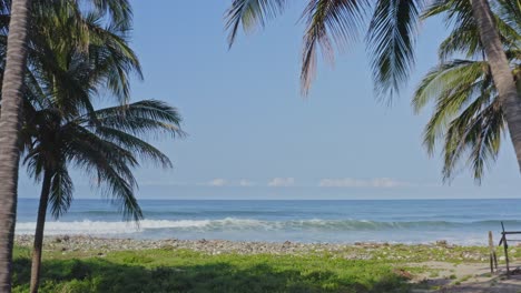 Beautiful-surfing-beach,-aerial-reveal-through-palm-trees,-tropical-coast