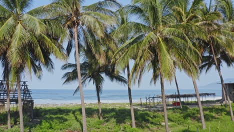 Aerial:-remote-beach-shacks-on-tropical-paradise-beach,-palm-tree-surf-huts