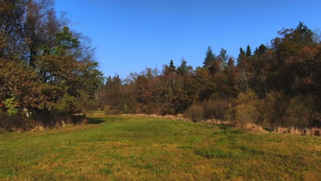 Vista-Escénica-De-Otoño-En-El-Parque-Con-árboles-Disparados-Por-Drones-En-Cerknica,-Eslovenia