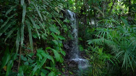 Erstaunlicher-Wasserbrunnen-In-Einem-Bambuswald-In-Thailand