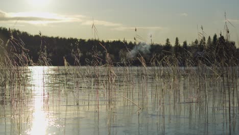Seenlandschaft-Eines-Wunderschönen-Natürlichen-Sees-Mit-Unkraut-Und-Pflanzen-An-Einem-Sonnigen-Tag,-An-Dem-Die-Sonne-Auf-Die-Wasseroberfläche-Scheint
