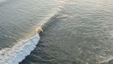 Aerial:-surfer-catching-wave-break-in-sunset-tropical-ocean-water