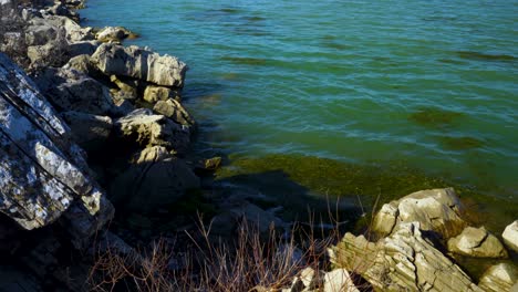 Green-lake-water-with-algae-and-floating-herbs-washing-rocky-coastline-with-big-cliffs-on-a-sunny-winter-day