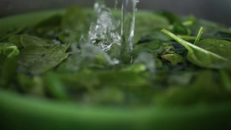 Current-of-clear-tap-water-falling-between-green-leaves-of-baby-spinach-in-plastic-bowl-while-splashing-all-around,-SLOW-MOTION
