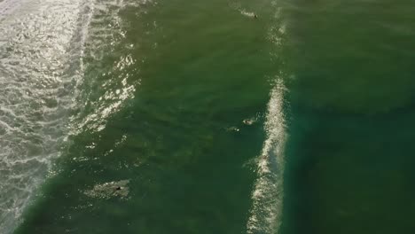 Aerial:-surfers-paddling-through-groundswell-producing-large-waves,-tilt-reveal