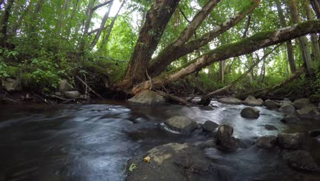 Moving-timelapse-of-small-fast-trout-river