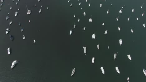 Hong-Kong-bay-reveal-shot-with-Hundreds-of-small-Boats,-Aerial-shot