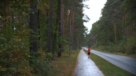4k-slow-motion-footage-of-female-person-jogging-in-a-forest-after-rain-on-wet-ground-with-big-green-trees