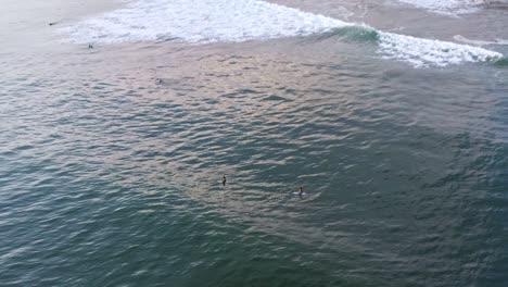 Aerial:-surfers-sitting-on-surfboards-behind-breaking-waves,-sunset-lowering-view