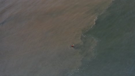 Aerial:-surfers-sitting-on-surfboards-in-brackish-sea-estuary-water,-high-reveal