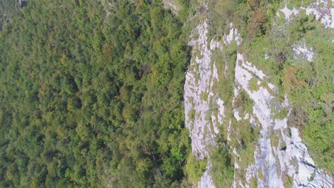 Aerial-dolly-in-of-impresive-stone-wall-covered-in-vegetation-in-Kostel-valley,-Slovenia