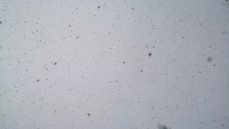 snow-is-falling-from-the-cloudy-sky,-the-camera-shoots-to-the-sky