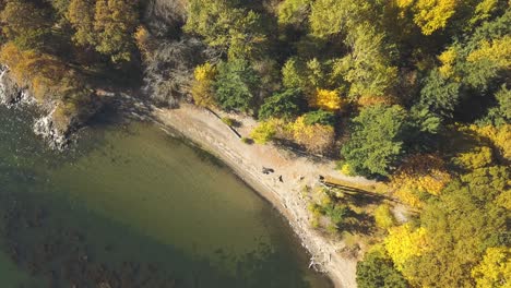 Schöne-4k-außenluftaufnahme-Eines-Waldes-Im-Herbst-Mit-Bunten-Bäumen-An-Einem-Meer-Am-Columbia-River---Landschaft-In-Oregon