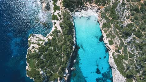 Stunning-top-down-aerial-shot-of-a-beautiful-bay-in-paradise-with-incredible-clear-and-turquoise-water-in-the-Mediterranean-Sea-in-Mallorca,-Spain---4k-Footage-of-Balearic-Island