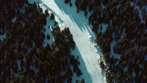 Skiers-parallel-skiing-downhill-on-snow-mountain-tree-slope,-aerial-top-down-view