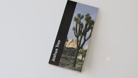 Overhead-Schuss-Von-Joshua-Tree-Pamphlet-Book-Auf-Weißem-Hintergrund