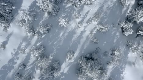Winterwunderland-Schneebedeckte-Landschaft-In-Der-Nordpollandschaft