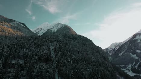 Beautiful-Austrian-Alps-mountainside,-backcountry-forest,-aerial-view