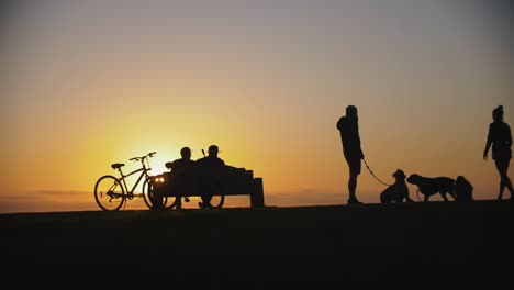 Slow-motion-footage-of-silhouettes-of-playing-dogs-outdoors-while-sunset-in-a-park-with-people-enjoying-the-view---Relaxing-moments-to-get-new-energy