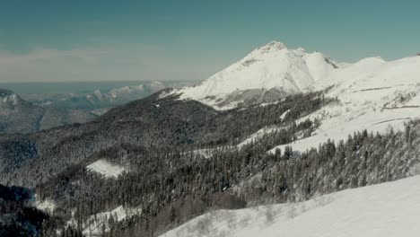 Winterszene-Der-Schneebedeckten-Bergwildnis