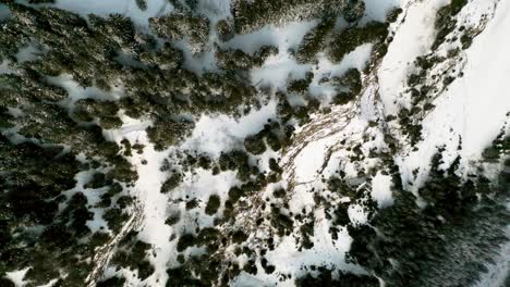 Dramatic-backcountry-mountainside-forest-covered-in-winter-snow,-aerial-top-down
