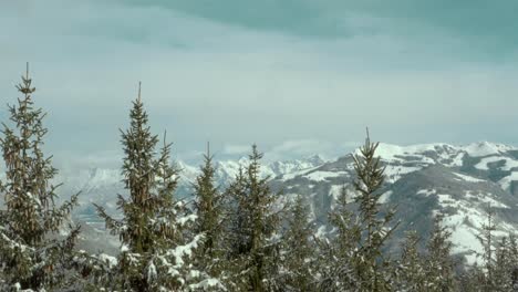 Schneebedeckte-Nadelkiefern-In-Wunderschöner-Winterlandschaft