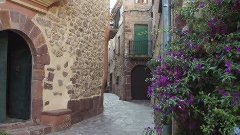 Flowers-in-a-small-street-in-a-rural-town-in-Spain