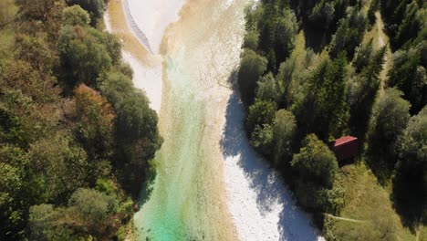 Top-view-of-fisherman-walking-in-low-emerald-coloured-river-looking-for-fish,-aerial-footage-of-fishing-on-very-bright-sunny-summer-day,-Soca-river,-Slovenia