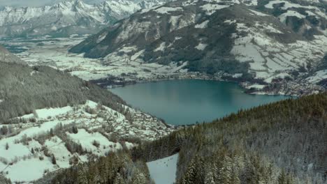 Schneebedeckte-Waldberge-In-Den-österreichischen-Alpen