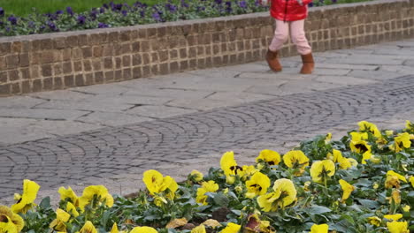 Schönes-Gelbes-Und-Violettes-Blumenbeet-Im-Stadtzentrum-Mit-Kleinem-Mädchen,-Das-Im-Hintergrund-Springt-Und-Geht