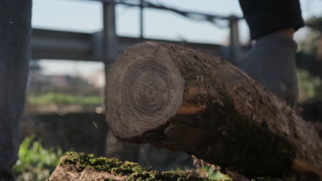 Close-Up-Of-A-Lumberjack's-Hands-Moving-Piece-Of-Wood-After-Cutting-With-Chainsaw-In-The-Forest