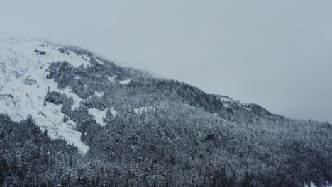 Snow-covered-pine-tree-forest-on-mountain-slope-during-overcast-weather,-aerial