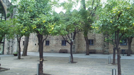 Plaza-Del-Museo-Maritimo-En-Barcelona