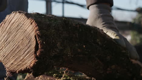 Close-Up-Of-A-Logger's-Hands-Positioning-Wood-Log-For-Cutting-Outdoors