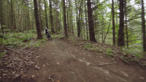 Downhill-mountainbiker-going-fast-on-straight-natural-dirt-line,-tracking-shot