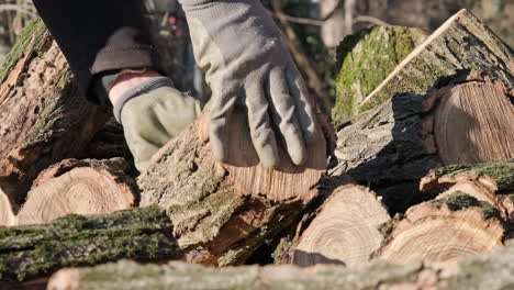 Close-Up-Shot-Of-A-Man's-Hands-Taking-The-Log-Of-Wood-From-The-Pile-Of-Previously-Cut-Logs-On-A-Sunny-Day---Slow-Motion