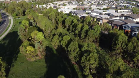 Drone-Descending-in-a-green-park-surrounded-by-trees