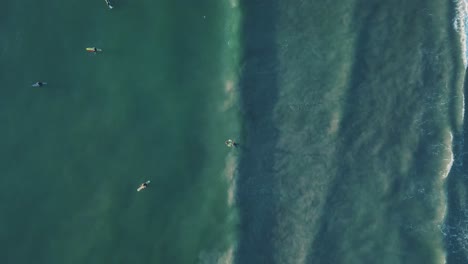 4k-Luftaufnahme-Von-Oben-Nach-Unten-Von-Vielen-Surfern-Im-Blauen-Wasser-Mit-Kleinen-Wellen